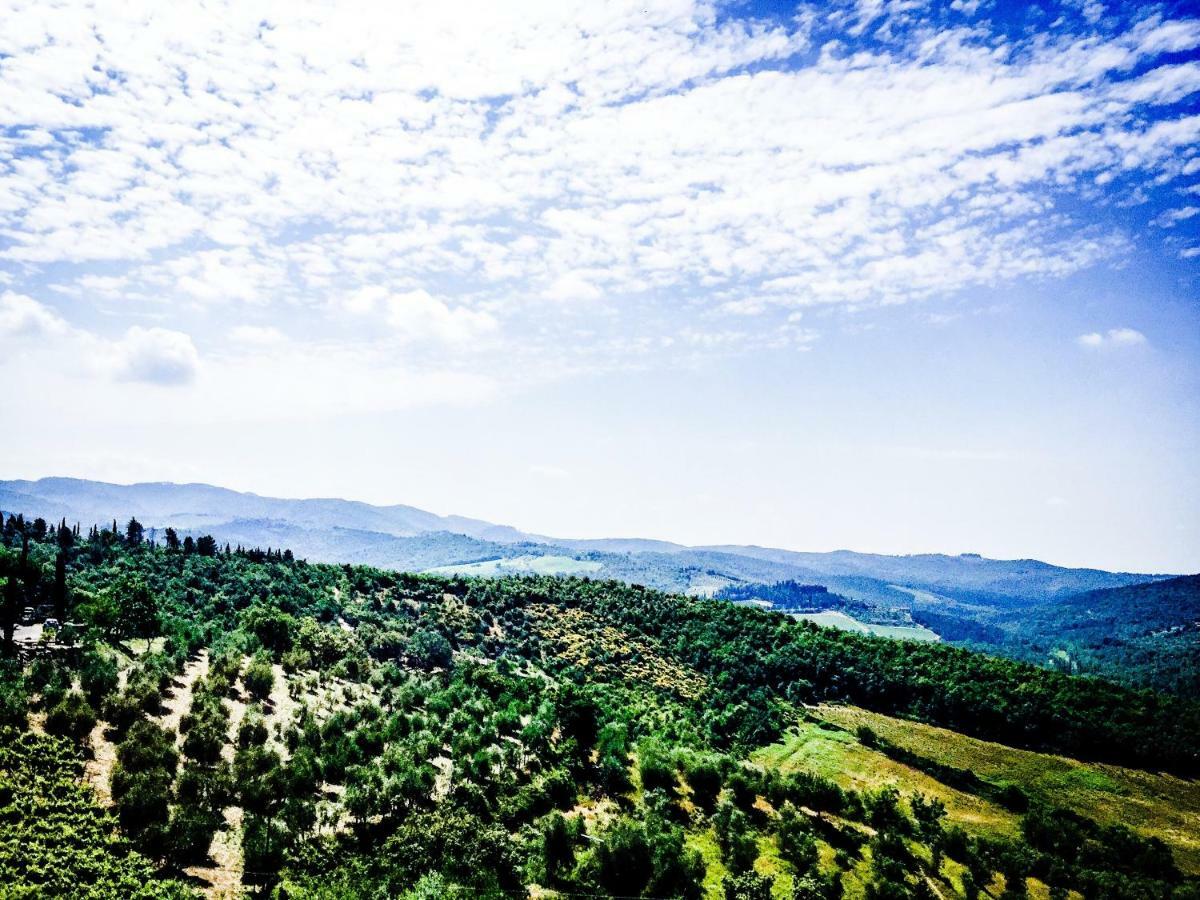 Casa Vacanze Vertine Gaiole in Chianti Εξωτερικό φωτογραφία